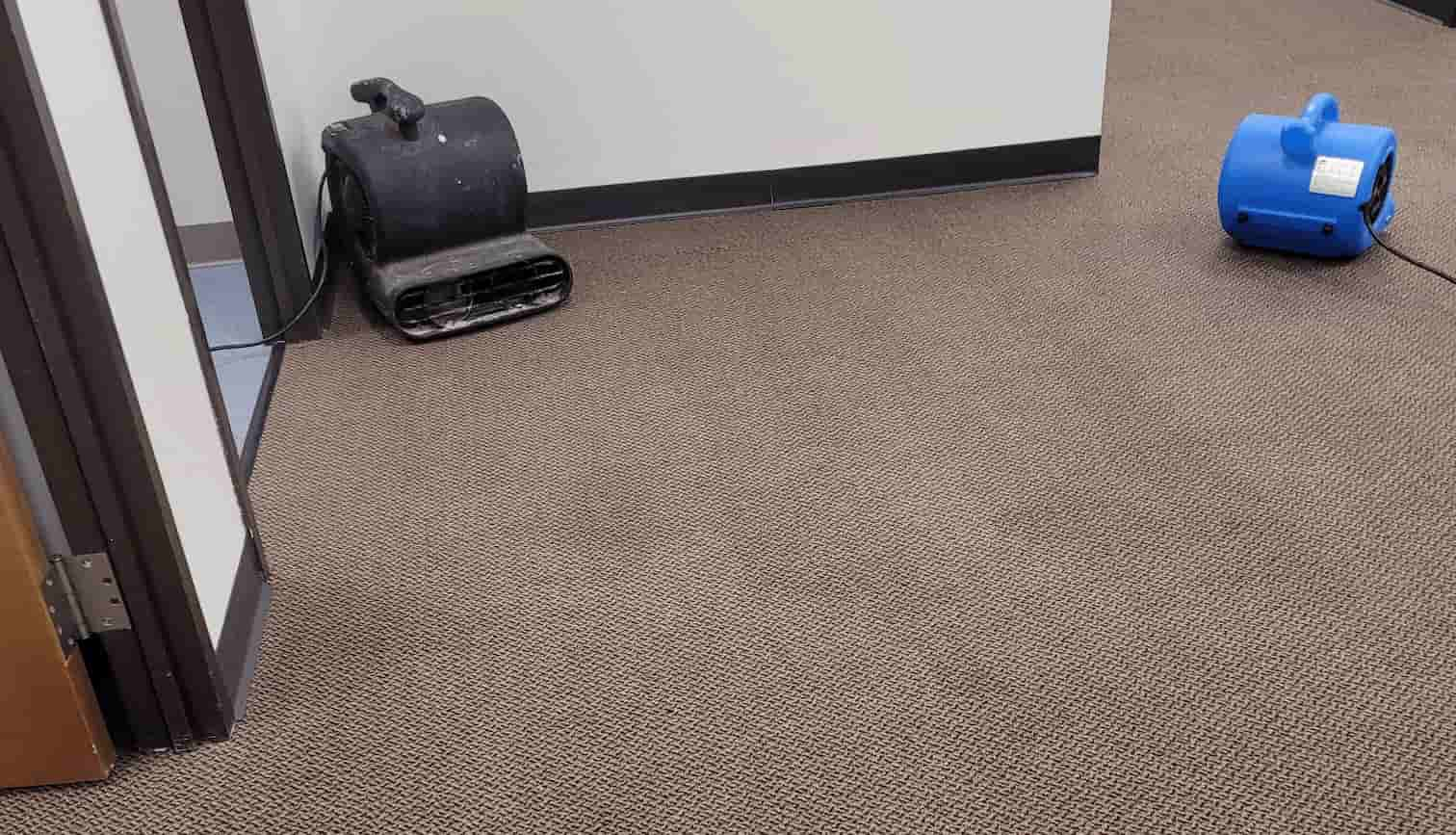 Meeting Office Carpet Cleaning