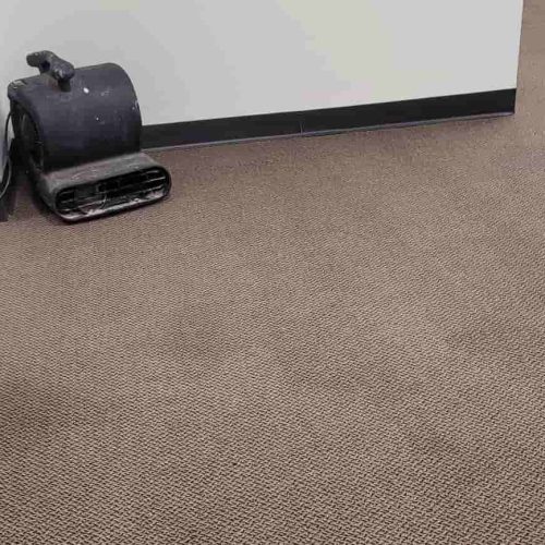 Meeting Office Carpet Cleaning