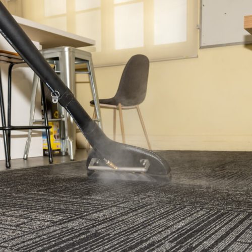 School Carpet Cleaning Services